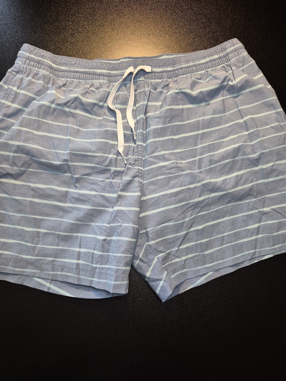 chubbies Light Blue Striped Men's Shorts